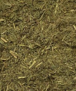 Phyllodes From Acacia Acuminata